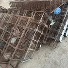 شبوك حمام. مصممه لمشروع