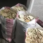 خبرناشف