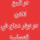 دجاج بلدي