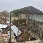 شبك ل الطيور