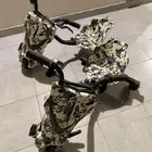 للبيع سكوترات كهربائية وسياكل
