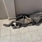 دبات وكالة تشارجر SRT