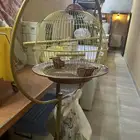 قفص عصافير