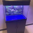 حوض سمك و جميع اغراضه