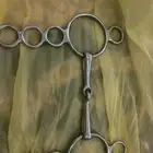 شكيمه زينه وجديده مركبت علا احصان إلا أربع مرات