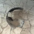 بطانة الانترا 2020