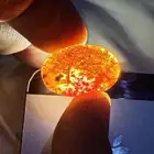 عقيق يماني كبدي مصور واضح سدرة او شجرة