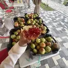 رمان جوف ال معمر