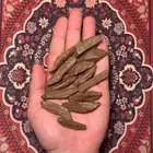 عود موروكي محسن جملة