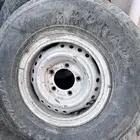 جنوط شاص شنبر