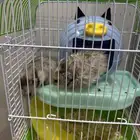 2 هامستر مع قفصهم