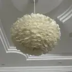 موجود من الاضاءه ثنتين