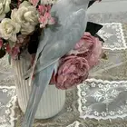 درهه اليفه