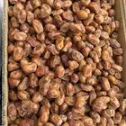 تمر خلاص حساء طيب وخلاص وادي كفو