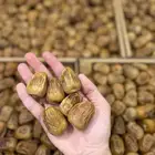 تمر سكري مفتل فاخر