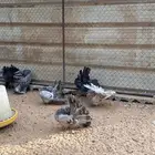 رقاصي هولندي منتج