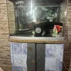 حوض سمك واحتياجات السمك في الحوض