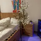 الدمام حي النزهه