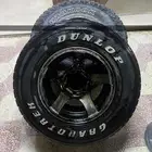 جنوط اخطبوط