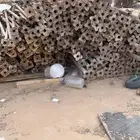 القصيم