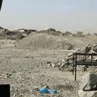 صبيز ف د