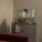 حوض سمك قزاز اكواريم
