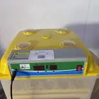 فقاسة استعمال شهر