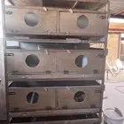 حاضنة صوص دجاج