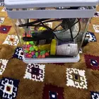 حوض سمك نظيف وشغال