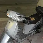 دباب بطه هوندا