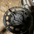 عين بريموس