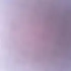 ابحثو شقه لاصفرين4 غرف او عنابس