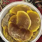 عسل طلحه