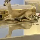 غزال محنط شرط نظافه 100