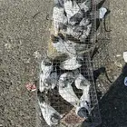 حمام باكستاني