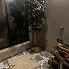 حطب سمر للبيع من المزرعه