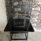 قفص ببغاء