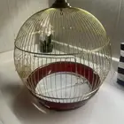 صندوق عصفور