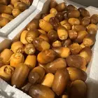 رطب المدينه صيف 1446