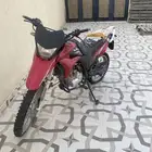 دباب صحرواي