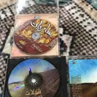 شيلات