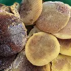 عسل طلح صافي وغير مغذا من نحلي الخاص