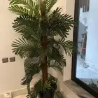 زرع صناعي نظيف
