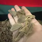 عود مالينو طبيعي 100  100