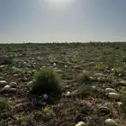 ارضية بطيخ