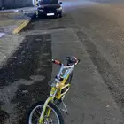 كوبرا مقاس 20 رمان امامي مافي