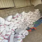 حشف للبيع للحلال