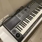 بيانو شغال م يشكي من اي شي بس زرين خربان و فيله أغاني