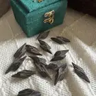 عود تايقر فتنامي