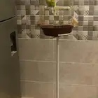 الواحة